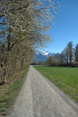 Fototapeta na wymiar Spring time in Vaduz in Liechtenstein 4.4.2021