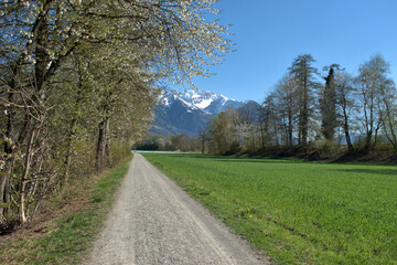 Spring time in Vaduz in Liechtenstein 4.4.2021