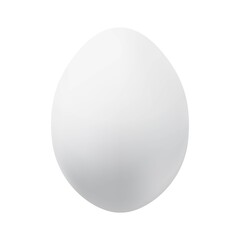 Chicken egg in a shell on a white background, vector template for the Easter holiday