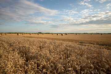 Peaceful rural field at Autumn 