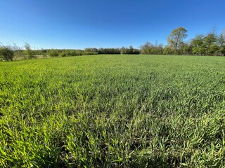 Cultivated land in a sunny day