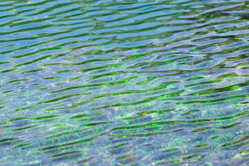 grass in water