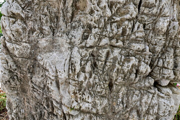 Old stone wall texture background for design and decoration.