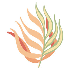Decorative leaf palm colorful on white background. Abstract sketch tropical leaf.
