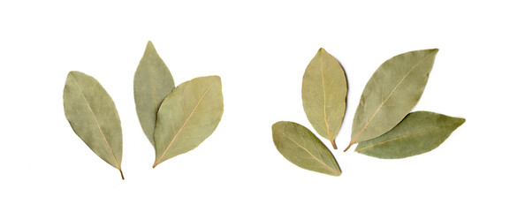 Dried bay leaf isolated on white background