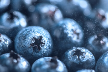 Fresh ripe blueberries with drops of dew