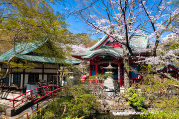 東京都 春の井の頭恩賜公園 井の頭弁財天