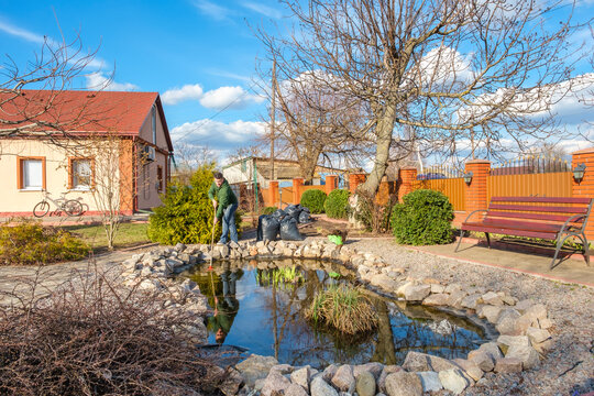 Mature Caucasian Man Clean A Garden Pond With Leaf Rake From Water Plants And Falling Leaves. Spring Seasonal Artificial Fish Pond Care After Winter.