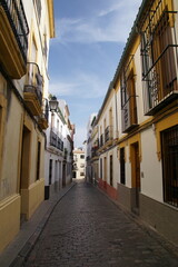 Fototapeta na wymiar Street view with old buildings, Majestic and old facades in Cordoba city, Spain.