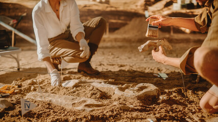 Archaeological Digging Site: Two Great Paleontologists Cleaning Newly Discovered of Dinosaur....