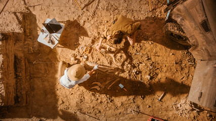 Top-Down View: Two Great Paleontologists Cleaning Newly Discovered Dinosaur Skeleton. Archeologists...