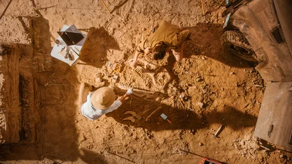Fotobehang Dinosaurussen Top-Down View: Two Great Paleontologists Cleaning Newly Discovered Dinosaur Skeleton. Archeologists Discover Fossil Remains of New Species. Archeological Excavation Digging Site.  © Gorodenkoff