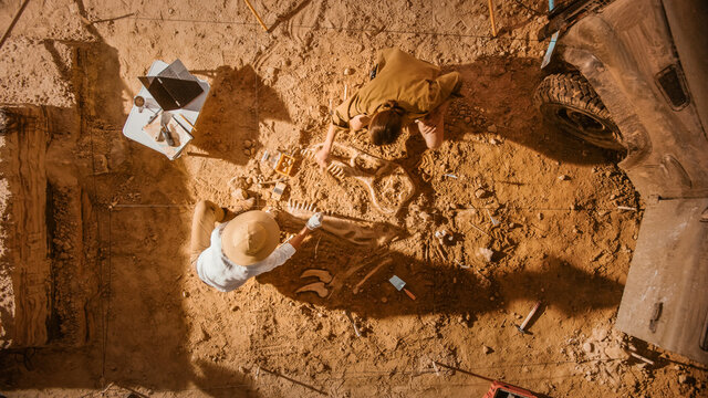 Top-Down View: Two Great Paleontologists Cleaning Newly Discovered Dinosaur Skeleton. Archeologists Discover Fossil Remains Of New Species. Archeological Excavation Digging Site.