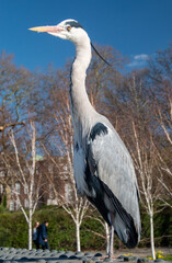 Heron