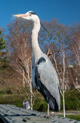 Heron