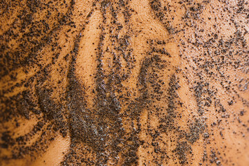 the texture and texture of the scrub on the skin. Cosmetology office. Beauty concept