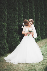 Fototapeta premium Beautiful young wedding couple is kissing and smiling in the park