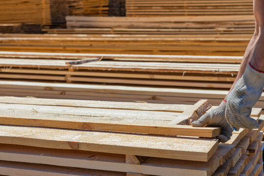 Industrial Warehouse Of A Sawmill, An Employee Puts His Hands On The Finished Products At The Sawmill In The Open Air. Commercial Background Of The Hand On The Right Side.