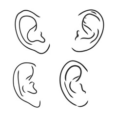 Drawing human ear. ear vector sketch on a white background