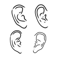 Drawing human ear. ear vector sketch on a white background