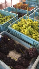 fruits and vegetables at the market