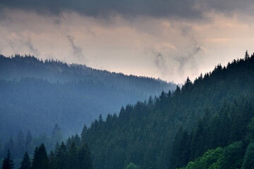Obraz premium Foggy autumn morning in the mountain, Beskydy, Czech Republic
