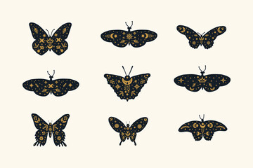 Set of black butterflies with gold doodle wings. A collection of illustrations with fluttering insects. Starry background of magical moth wings. Vector illustration
