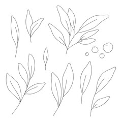 Set trendy hand drawn minimalistic plant elements. Icon with branch and leaves. Boho floral for logo design. Perfect for wedding invitations, cards, blogs. Abstract modern vector in line art style 