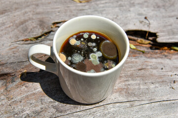 mold in the unwashed cup after cup of coffee on grungy wooden background, A cup of coffee left for...