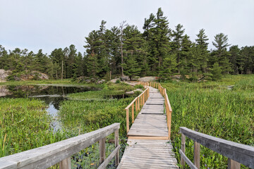 Wooden boardwalk going trough the swamp and marsh leading to the rocky shore and coniferous forest. Grundy Provincial Park, Northern Ontario, Canada. Hiking, camping, adventure concept.