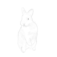 watercolor hand-drawn doodle sketch of the rabbit