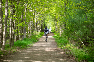 Naklejka premium Young man biking cycling through the park alley green tunnel made of tree brunches. Summer, spring scene. Recreational sport and cycling concept. Selective focus. Caledon trailway path, Ontario.