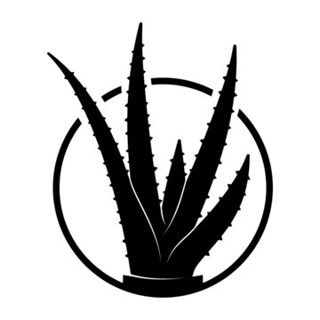 Aloe vera icon, plant inside the circle, logo, vector illustration