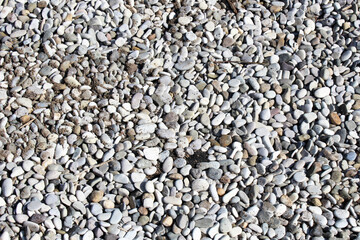 Sea stones background. Grey color.