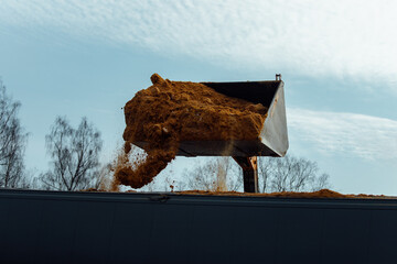an industrial excavator loads the truck body with raw materials. pour sand from the bucket....