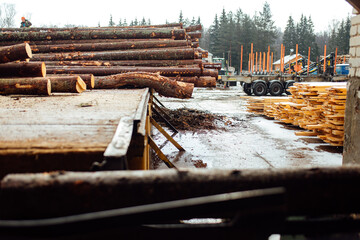 a log on a conveyor belt. transportation of wood raw materials at the plant. wood processing on a sawmill. automated conveyor