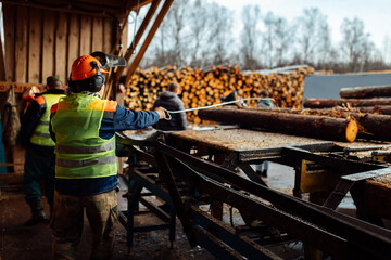 the worker directs the log to the conveyor. a person works in a protective form on a sawmill. automated woodworking in an industrial enterprise