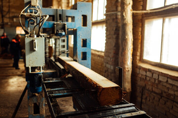 wooden board on the conveyor. people work on an automated sawmill. industrial enterprise for wood processing. a worker carries a board for sawing