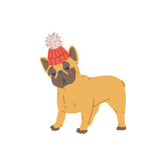 Small pug dog in warm knitted wool hat, flat vector illustration isolated.