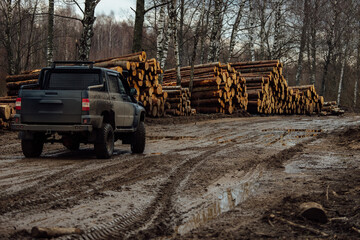 Fototapeta premium the sawn boards are stacked in the warehouse. construction materials prepared at a woodworking plant. lots of processed sawn wood