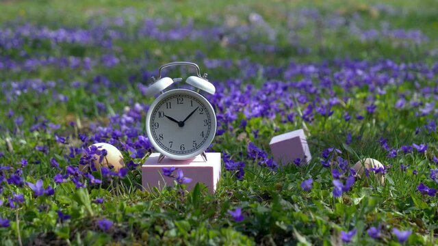 White classic alarm clock with bells on meadow with purple flowers