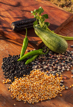 Productos de la milpa de ma&iacute;z