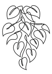 Scindapsus flower branch in a modern style in the style of one line. Continuous line drawing, home decor sketches, posters, wall art, stickers. Floral logo or icon vector illustration.