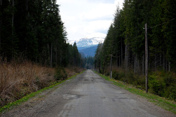 Fototapeta na wymiar Straight empty road to the mountains