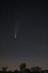 Obraz na płótnie Canvas C/2020 F3 (NEOWISE) comet on night sky with stars