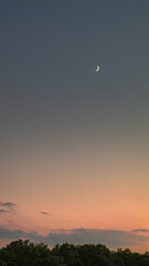 The Moon on the sunset sky over the field