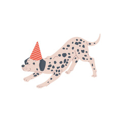 Dog dalmatian breed in holiday hat, funny pet animal, playful puppy.