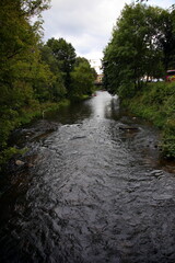 View of the river among the green trees