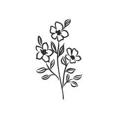 Ink, pencil, the leaves and flowers of Magnolia isolated. Line art transparent background. Hand drawn nature painting. Freehand sketching illustration.