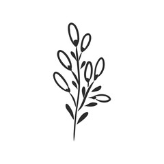 Ink, pencil, the leaves and flowers of Magnolia isolated. Line art transparent background. Hand drawn nature painting. Freehand sketching illustration.